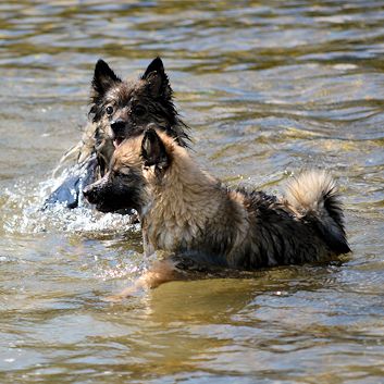 Badespa in der Socca 2018 - 09