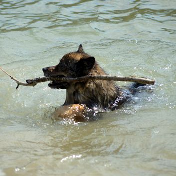 Badespa in der Socca 2018 - 18
