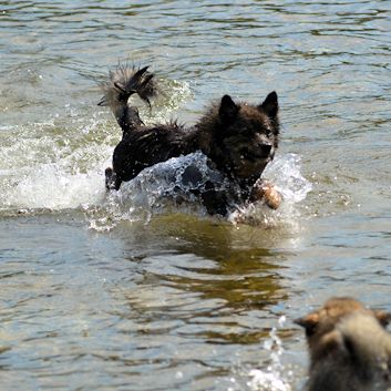 Badespa in der Socca 2018 - 23