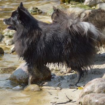 Badespa in der Socca 2018 - 28