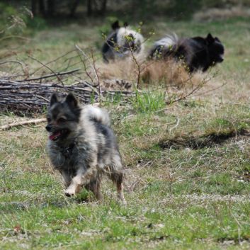 Camping Urlaub mit Spitzen 2010-82