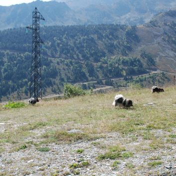 Camping Urlaub mit Spitzen nach Gibraltar 211