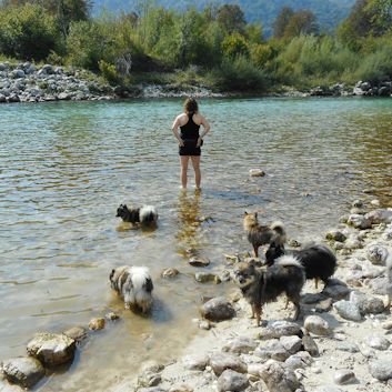 Campingplatz-Socca-Tal-02