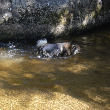 Die Mittelspitz im Felsenmeer - Mare aix Sanglier 08