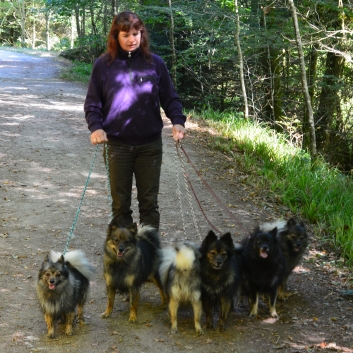 Die Mittelspitz im Felsenmeer - Mare aix Sanglier 21
