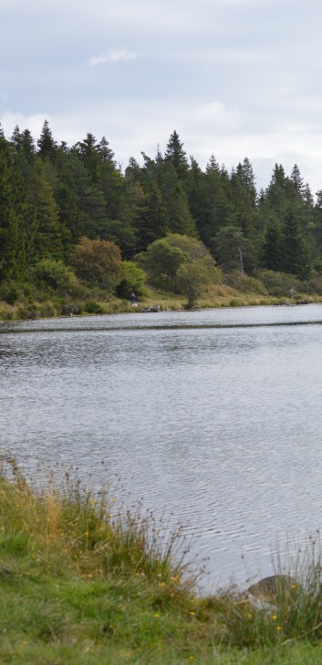 Die Mittelspitz von der Rosteige am Lac la Servieres in die Avergne 05