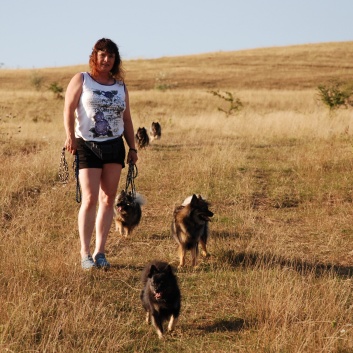 Die Mittelspitze von der Rosteige - Camping Eldorado in Rumnien - 09