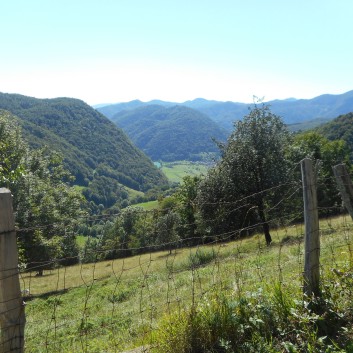 Die Mittelspitze von der Rosteige auf dem Berg Kopala in Slowenien 01