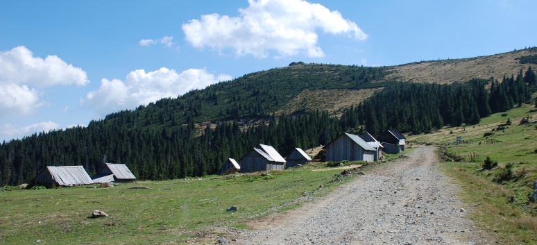 Die Mittelspitze von der Rosssteige auf dem Munti Gihor - 41