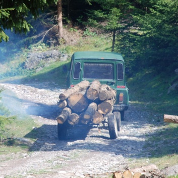 Die Mittelspitze von der Rosssteige im Apuseni-Gebirge in Transilvanien - 35