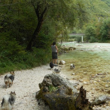 Die Mittelspitze von der Rosteige im der Soccaschlucht in Slowenien - 10