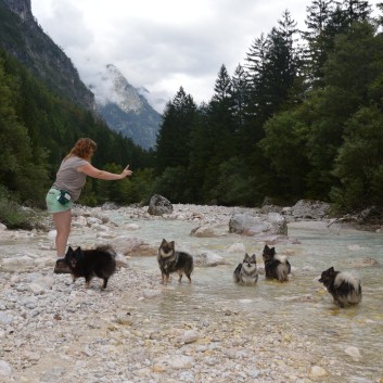 Die Mittelspitze von der Rosteige im der Soccaschlucht in Slowenien - 29