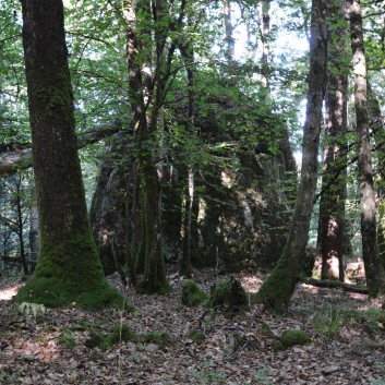 Die Spitze von der Rosteige im Hexenwald bei Huelgoat 37