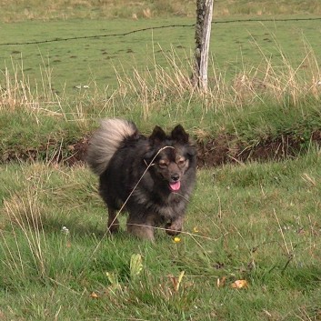 Die Spitze von der Rosteige in der Avergne 22