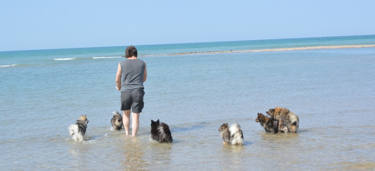 Die Westkste der Normandie mit den Mittelspitz von der Rosteige 09