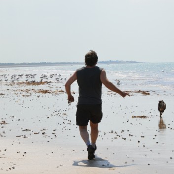 Die Westkste der Normandie mit den Mittelspitz von der Rosteige 42