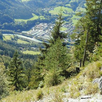 Eisriesenwelt in Werfen - 02