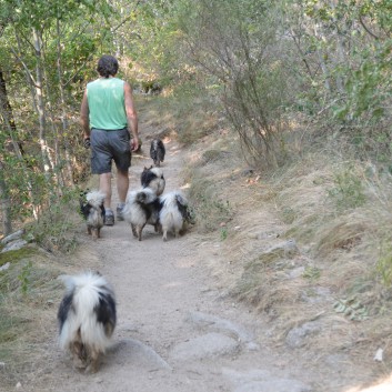 La Cascade in den Chevennen 2018 - 14