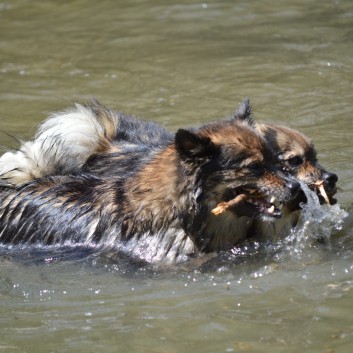 Mittelspitze von der Rosteige am Gorges Du Tarn 2017 - 127
