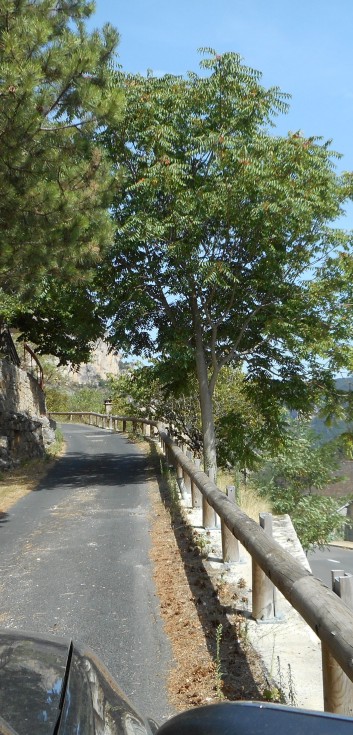 Mittelspitze von der Rosteige am Gorges Du Tarn 2017 - 17