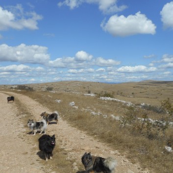Mittelspitze von der Rosteige am Gorges Du Tarn 2017 - 186