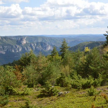Mittelspitze von der Rosteige am Gorges Du Tarn 2017 - 253