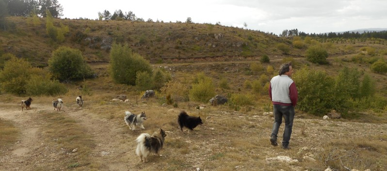 Mittelspitze von der Rosteige am Gorges Du Tarn 2017 - 263