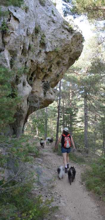 Mittelspitze von der Rosteige am Gorges Du Tarn 2017 - 55