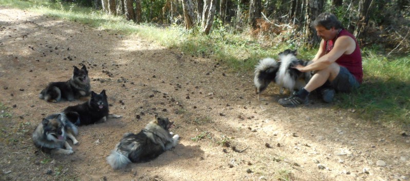 Mittelspitze von der Rosteige am Gorges Du Tarn 2017 - 95