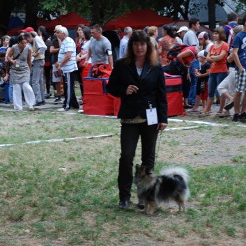 Mittelspitze von der Rosteige auf der CACIB 2011 Targu Mures in Rumnien 29