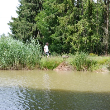 Mittelspitze von der Rosteige im Elsass 2012 - 106