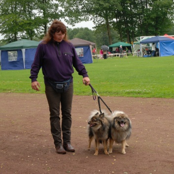 Mittelspitze von der Rosteige im Elsass 2012 - 15