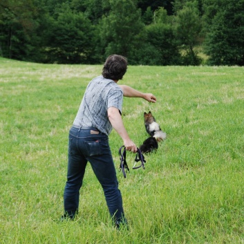 Mittelspitze von der Rosteige im Elsass 2012 - 50