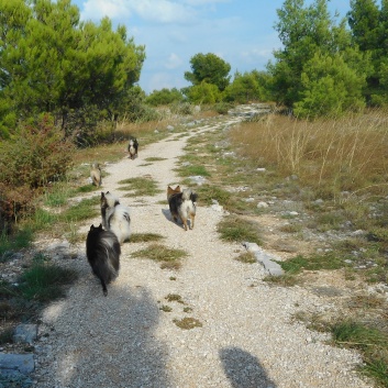 Nationalpark Krka - 25 - Aussichtspunkt Rogovo
