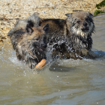 Nationalpark Krka - 57 - Badespass