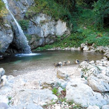 Slap Sopot 2018 - 03