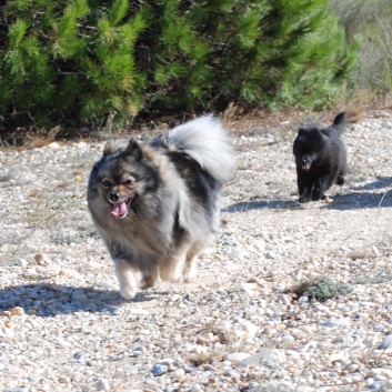 Urlaub mit Spitzen im September 2010 - 18