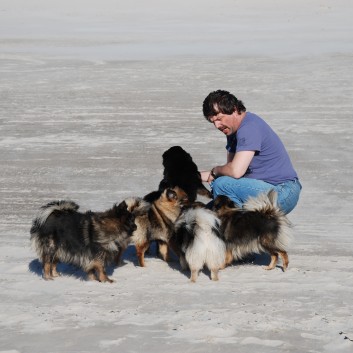 Vejers Strand in Dnemark mit den Mittelspitzen von der Rosteige 31